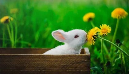 国羽时隔10年再夺世锦赛男单冠军，石宇奇首个单项世界冠军，拿出了120%的努力，“我只想赢，但不怕输”